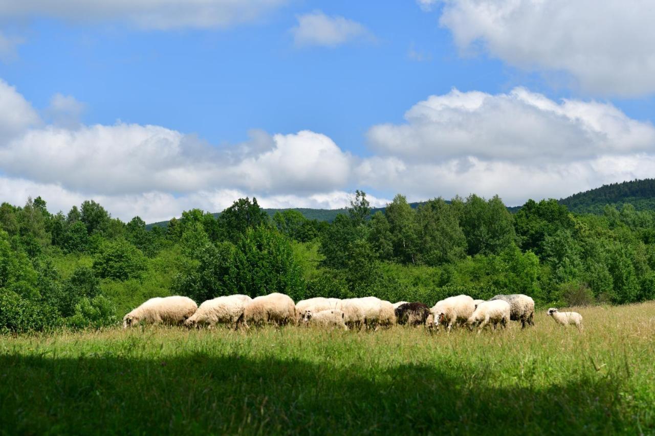 Natura Hause Rakovica Exteriér fotografie
