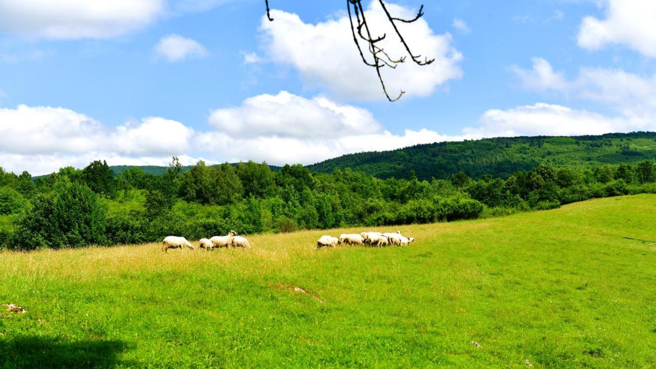 Natura Hause Rakovica Exteriér fotografie