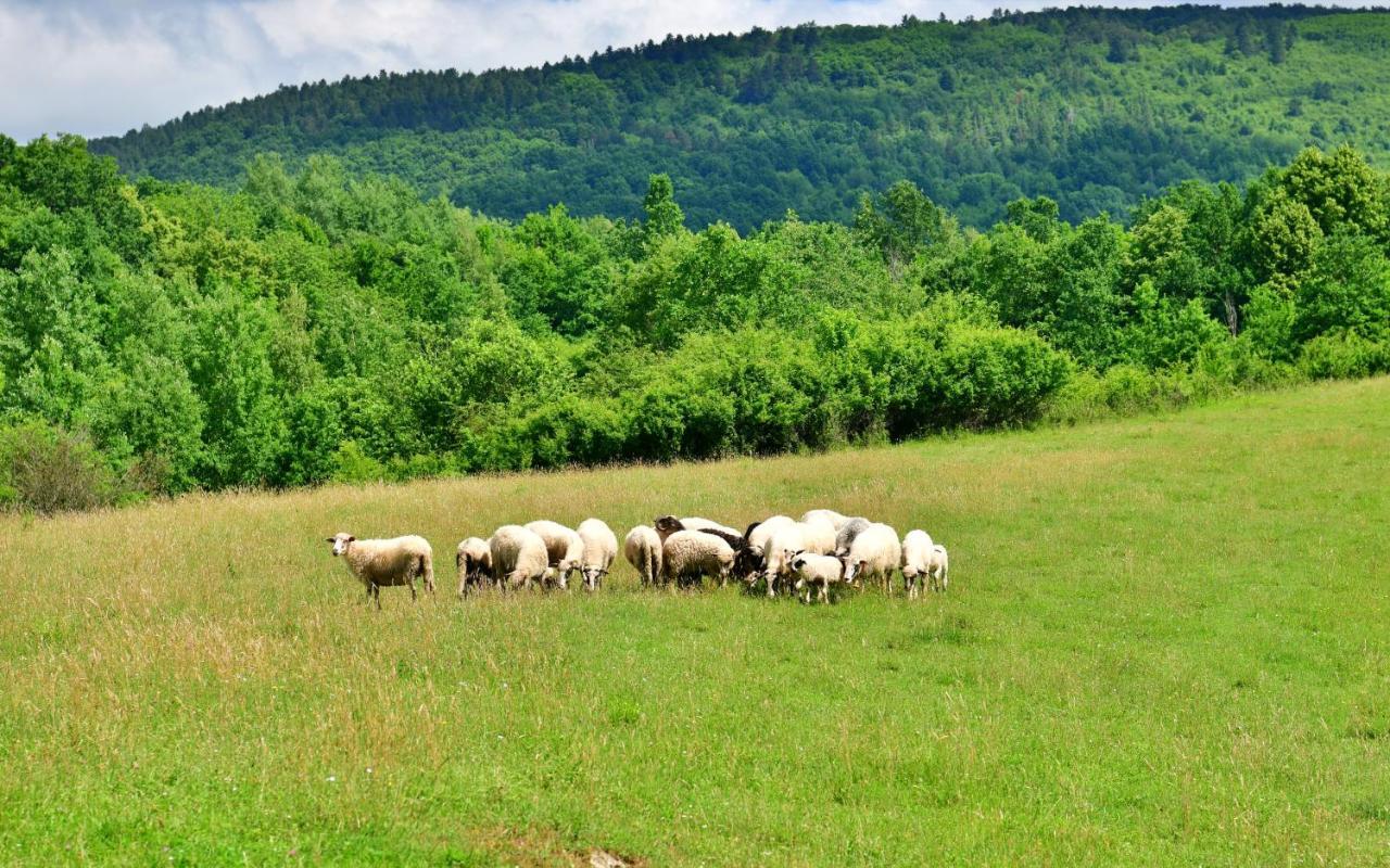 Natura Hause Rakovica Exteriér fotografie