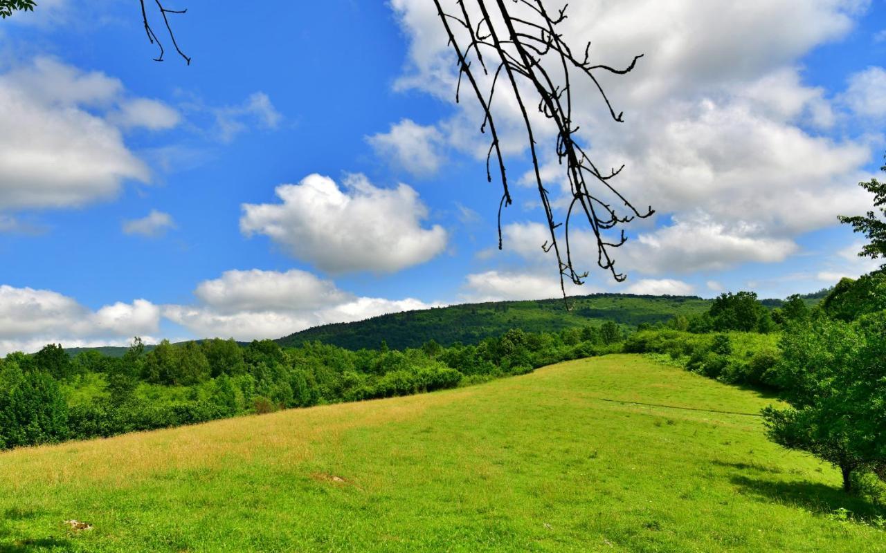 Natura Hause Rakovica Exteriér fotografie