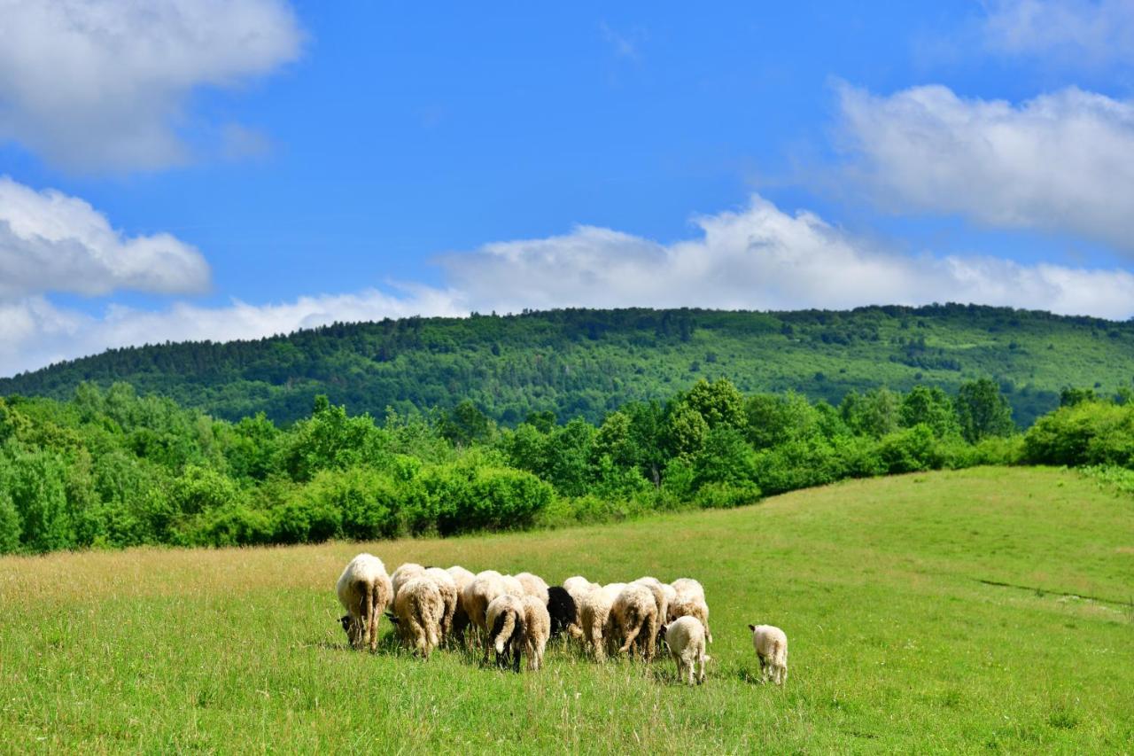 Natura Hause Rakovica Exteriér fotografie